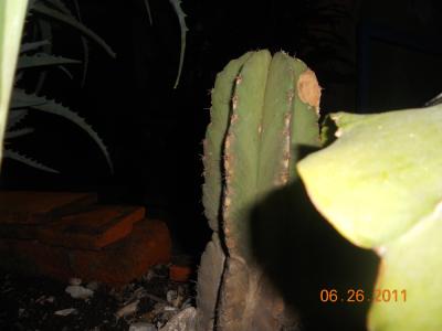 bfi1312411182d.jpg