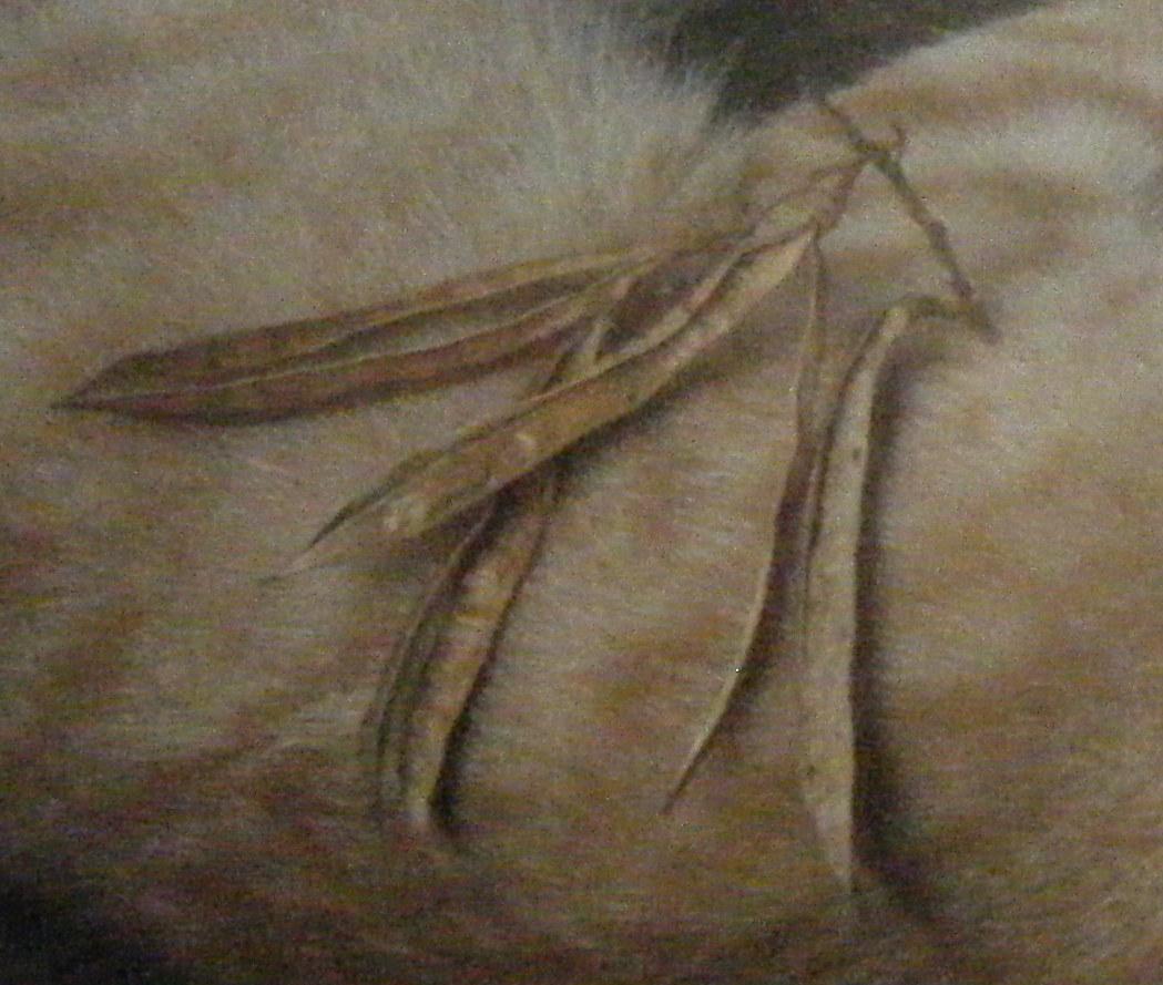 bfi1312489524l.jpg