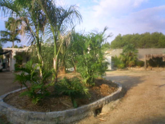 bfi1312551573x.JPG
