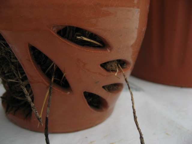 bfi1312580133e.JPG