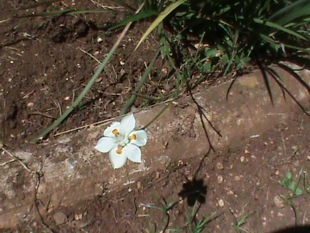 bfi1312744925r.JPG