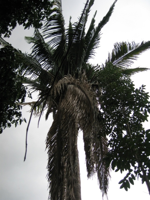bfi1312745733l.jpg