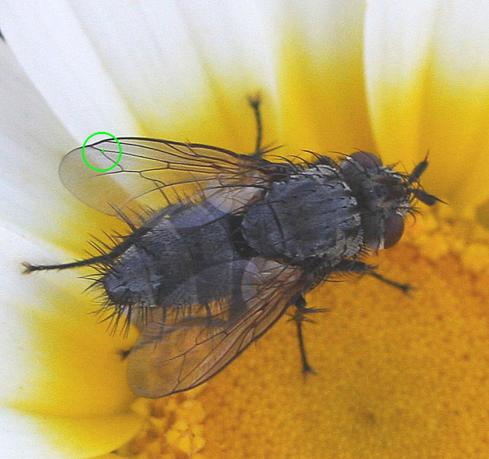 bfi1312834691l.jpg