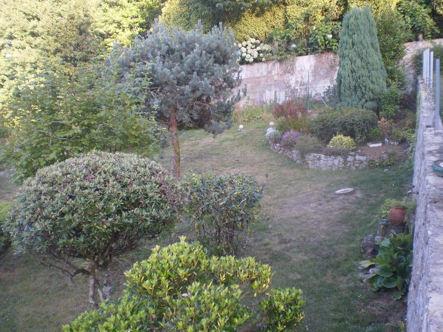 bfi1313001278a.JPG