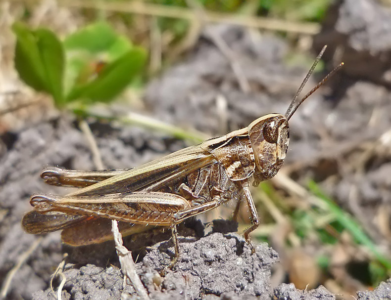 bfi1313008176x.jpg