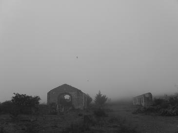 bfi1313093412s.jpg