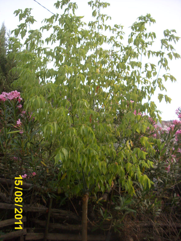 bfi1313497060u.JPG