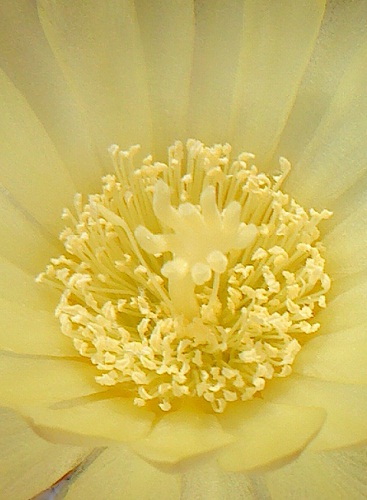 bfi1313521623g.JPG