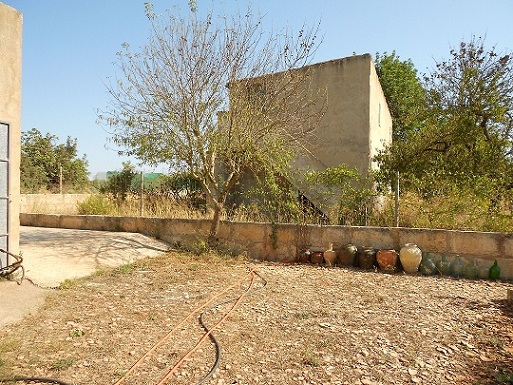 bfi1313569596v.JPG