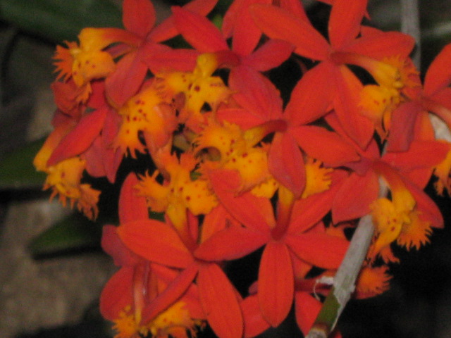 bfi1313619747d.jpg