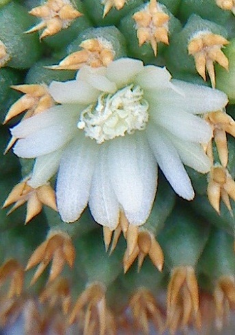 bfi1313686945i.JPG