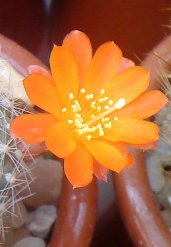 bfi1313687164m.JPG