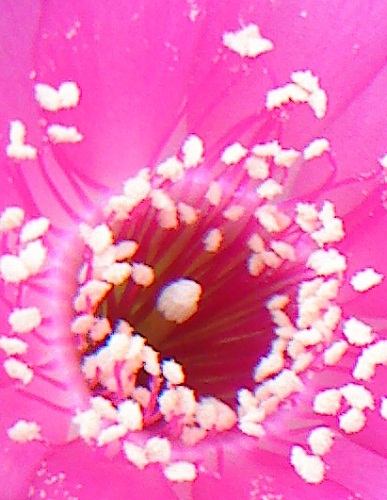 bfi1313688510s.JPG