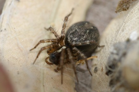 bfi1313754509q.jpg