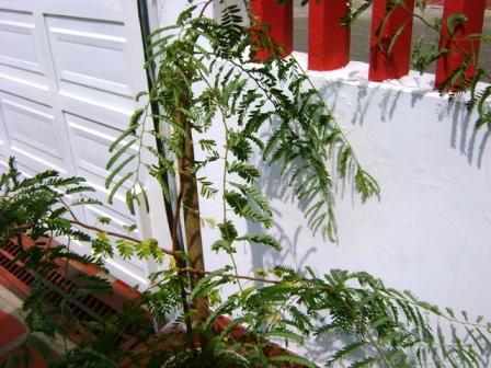 bfi1313767840w.JPG