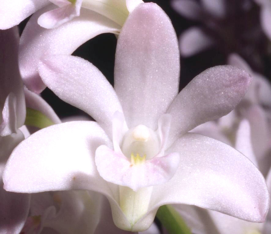 bfi1313778494s.jpg