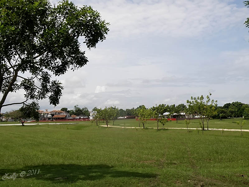bfi1313782699b.jpg