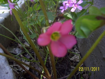 bfi1322087663k.jpg