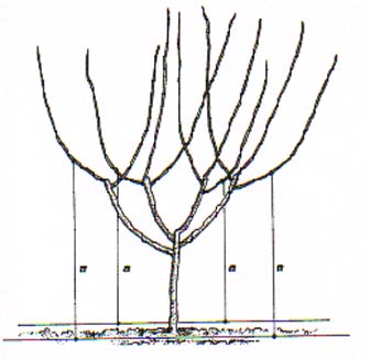 bfi1334402130w.jpg