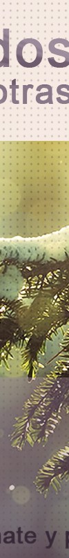 bfi1335622147l.jpg