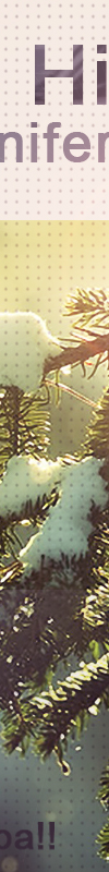 bfi1335622189m.jpg