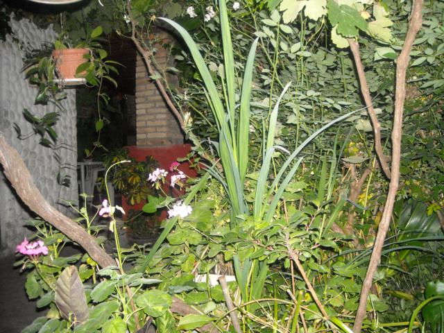 bfi1335985499l.jpg