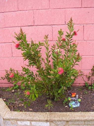bfi1336477452u.jpg