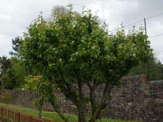 bfi1369331795q.jpg