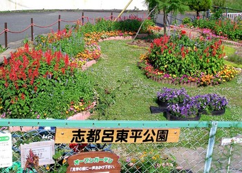 BH200722%E8%8A%B1s005.jpg
