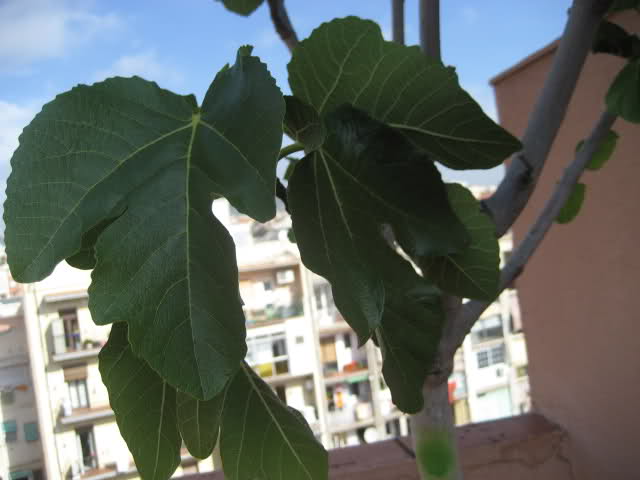 bhk8pf.jpg