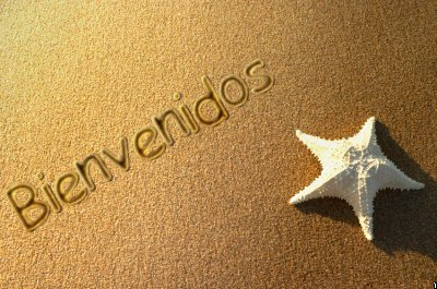 bienvenidos.png