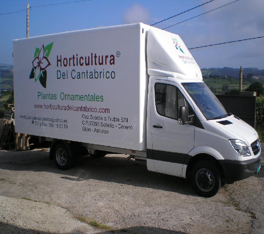 big_9758_3320_camion.JPG
