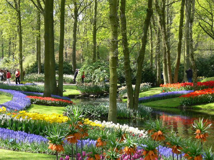 big_garden.jpg