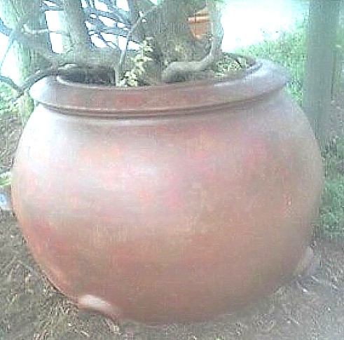 BigPlanterPot2.jpg