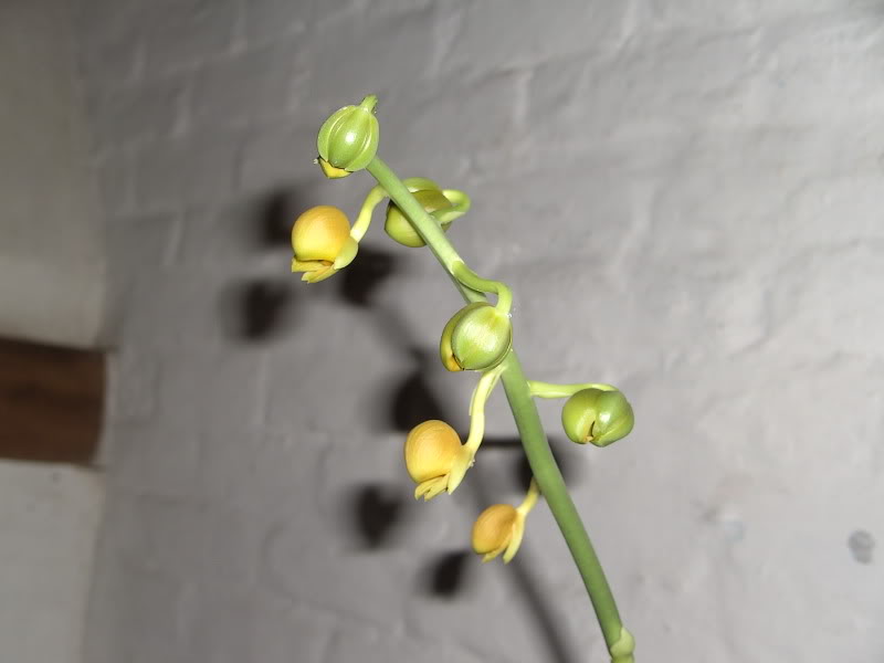 BILD1261.jpg