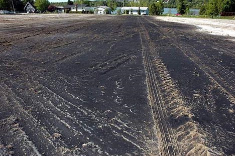 biochar-y-reforestacion.jpg