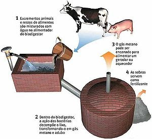 biodigestor.jpg