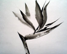 Bird%20of%20Paradise,%20sumi-e,%20Jean%20Kigel_small.jpg