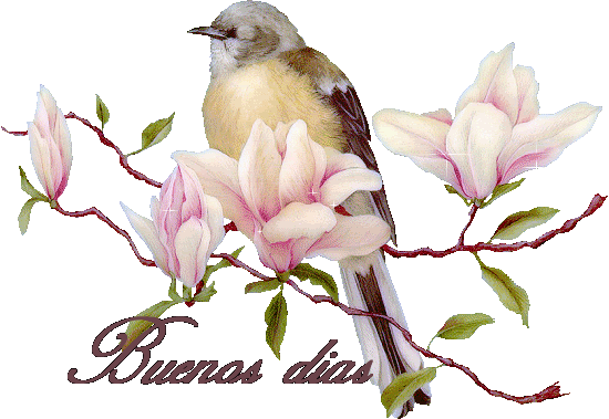birdbe4b20d.gif