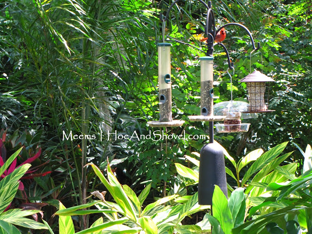 Birdhouse_Feeder+0028583.jpg