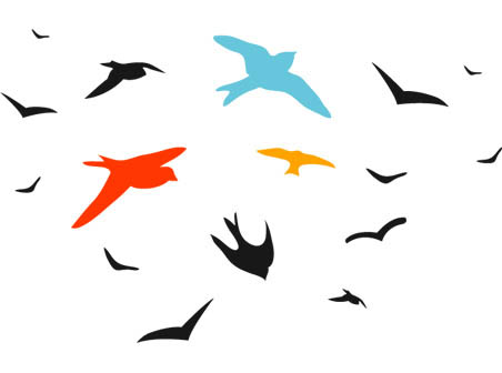 Birds-Vector-Set-452.jpg