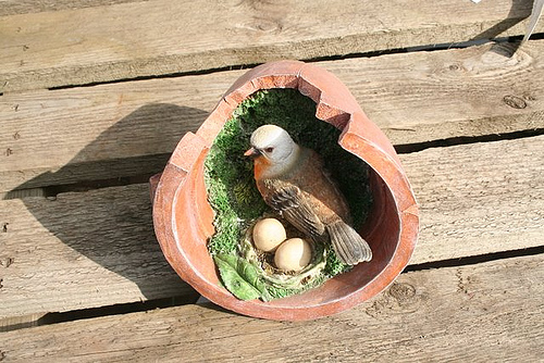 birds_nest_in_flower_pot.jpg