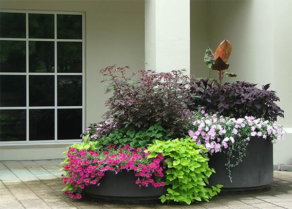 birmingham-planter-gardens.jpg