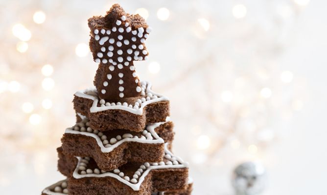 bizcocho-chocolate-forma-arbol-principal-668x400x80xX.jpg