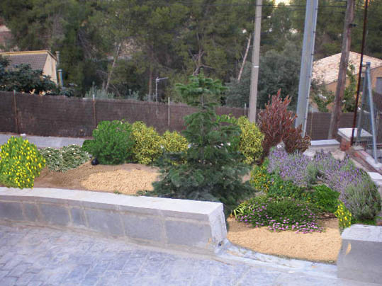 bjararregloP1010011.jpg