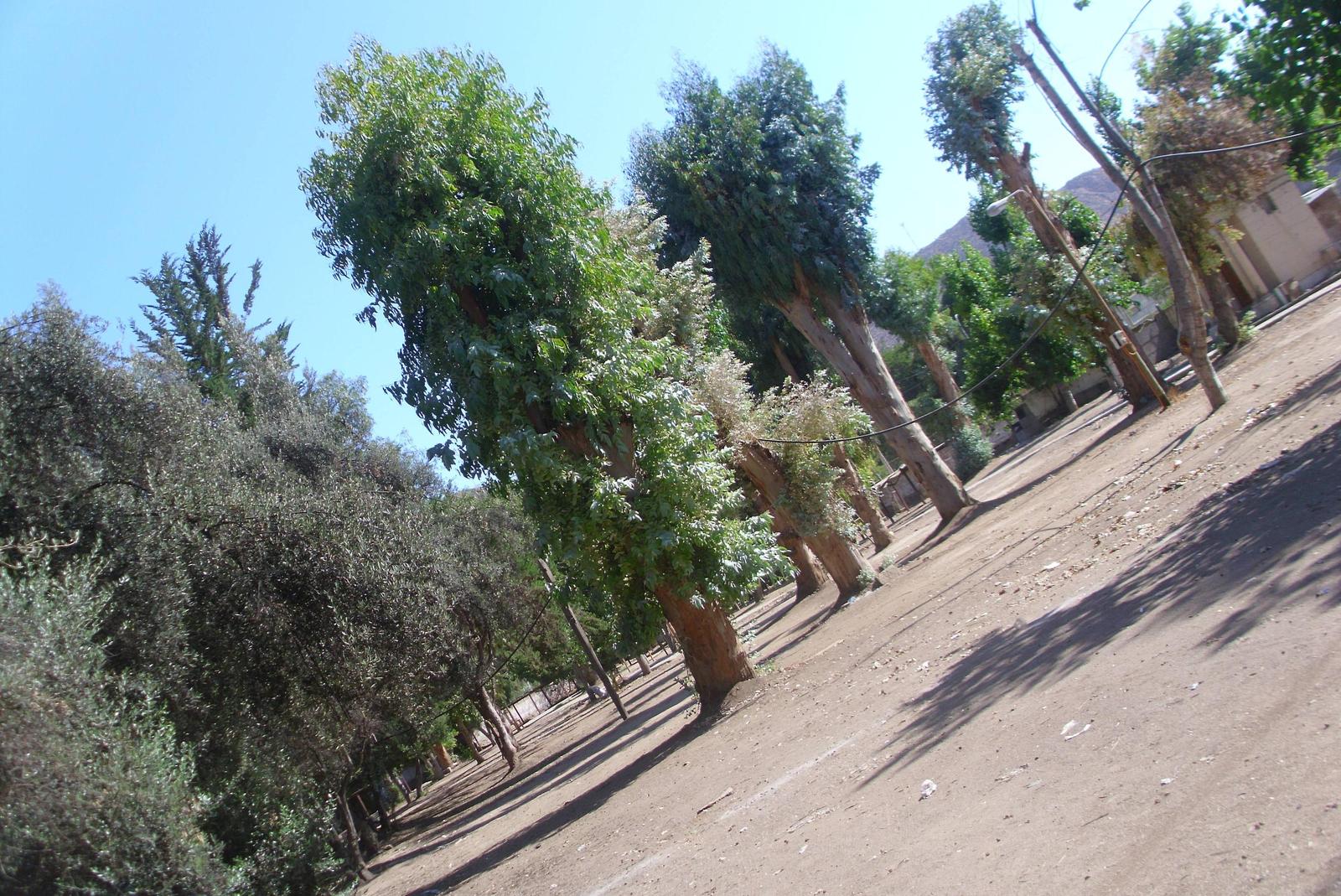 BjucA4n.jpg