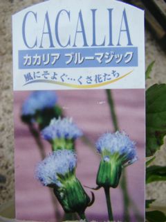 BLOG2606.jpg