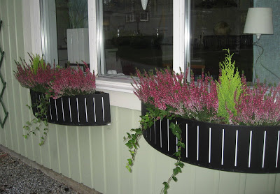 Blommor-+entr%C3%A909+h%C3%B6st.JPG