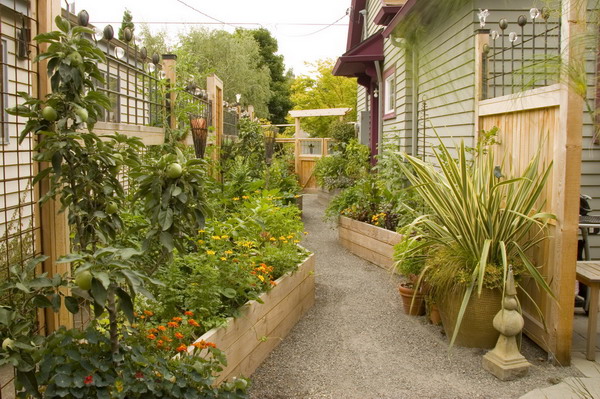 bloomtown_kitchen_garden_9931_blog_1.jpg