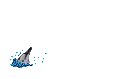 blue-dolphin-animation.gif